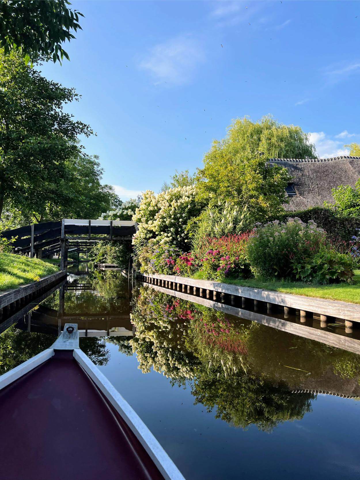 A serene scene of a rowing boat passing a traditional Giethoorn house.